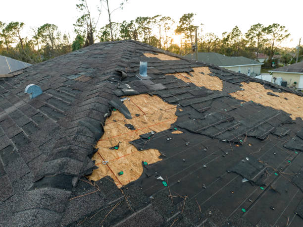 Sheet Metal Roofing in Inglis, FL